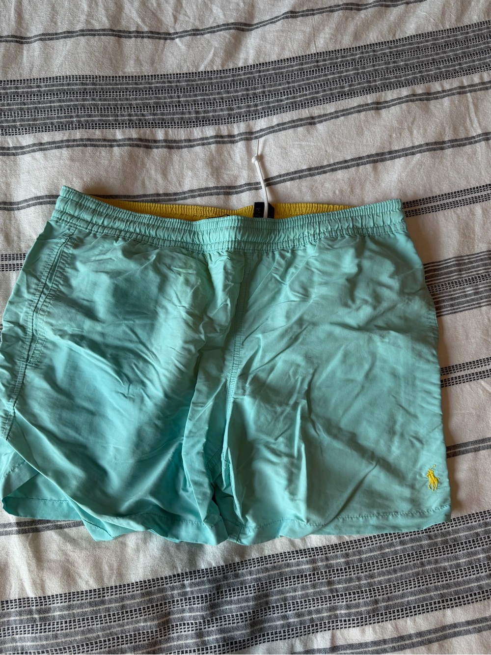 Polo by Ralph Lauren Aqua Short Swim Shorts